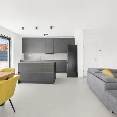 Modern Casa Valero With Pool In Novigrad