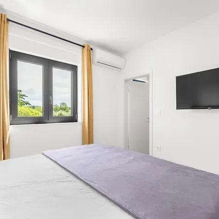 Villa Modern Casa Valero With Pool In Novigrad *